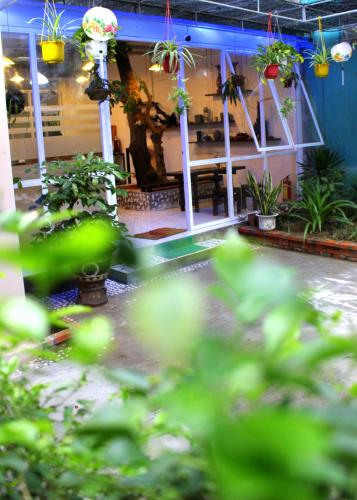 a room with potted plants in a building at Homestay MINH TÚ in Hue