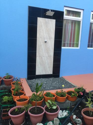 a bunch of potted plants in front of a door at Bob Apartments in Calodyne