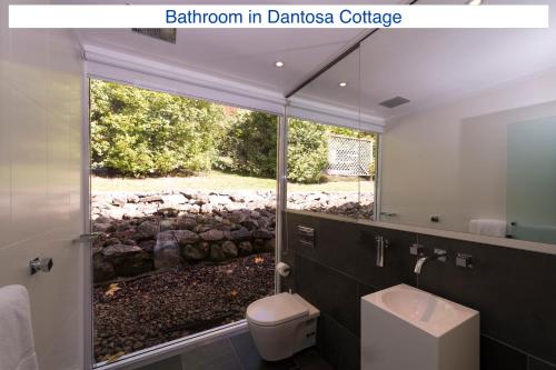 a bathroom with a toilet and a window with a stone wall at Dantosa Blue Mountains Retreat in Katoomba