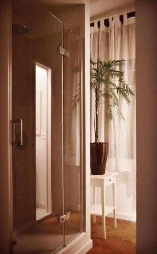 La salle de bains est pourvue d'une douche en verre avec une plante en pot. dans l'établissement Punto8, à Trieste