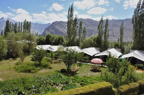 a garden with white umbrellas and trees and mountains at Tiger Camp Nubra in Nubra