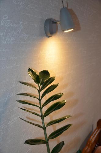 a lamp with a green plant next to a wall at Hotel Trias in Kyiv