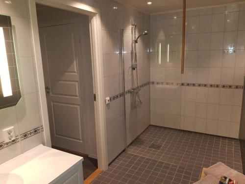 a bathroom with a shower and a walk in shower at Malangen Apartment in Kjerkevik