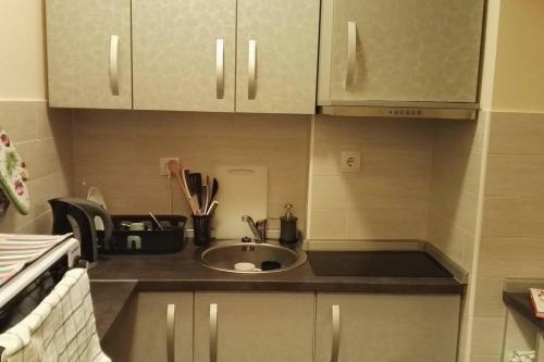 a kitchen with a sink and a counter top at GOski Apartman Brzeće Kopaonik in Brzeće