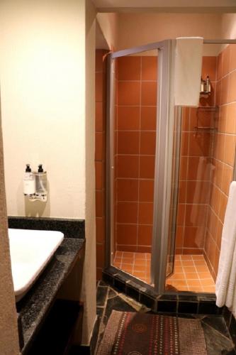 a bathroom with a shower and a sink at Sherewood Lodge in Pretoria