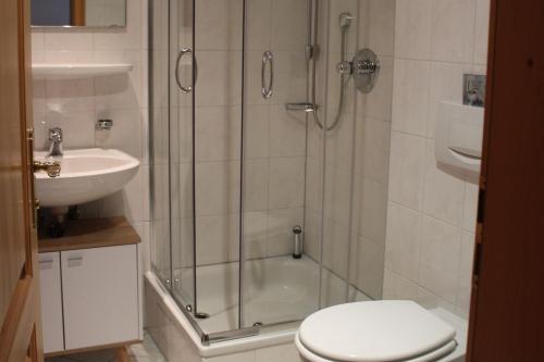 a bathroom with a shower and a toilet and a sink at Gschwanderhof in Glottertal