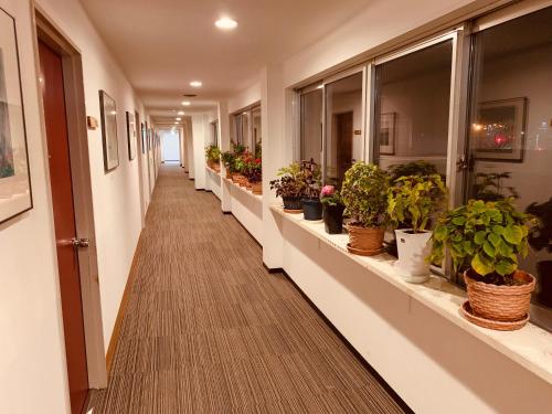 an empty hallway with potted plants on windows at Hokkai Hotel in Lake Toya
