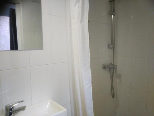 une salle de bain avec un rideau de douche et un lavabo dans l'établissement Gîte du Vieux Lyon, à Lyon