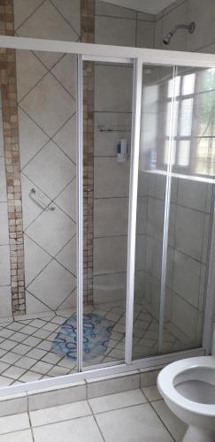 ダーリングにあるDisa Lodgeのバスルーム(シャワー、トイレ付)