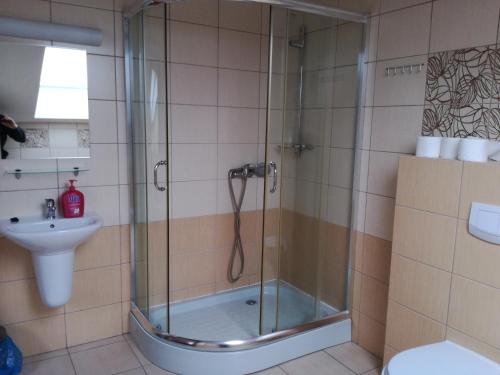 y baño con ducha y lavamanos. en NASZ DWOREK, en Dziergowice