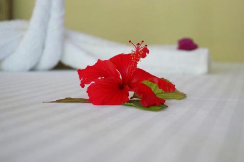 Кровать или кровати в номере Blue Earth Beach Bungalow