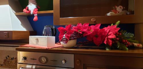 a kitchen counter with a vase with red flowers on it at Le Chat a Pois in Aosta