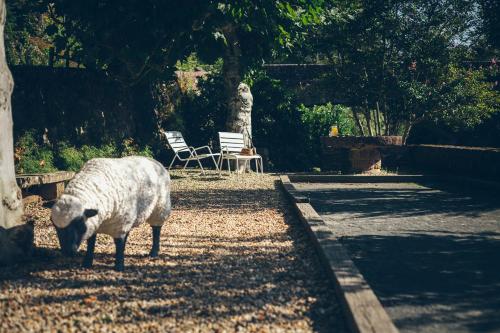 a sheep grazing in a yard with a table and chairs at Hôtel Arcé in Saint-Étienne-de-Baïgorry