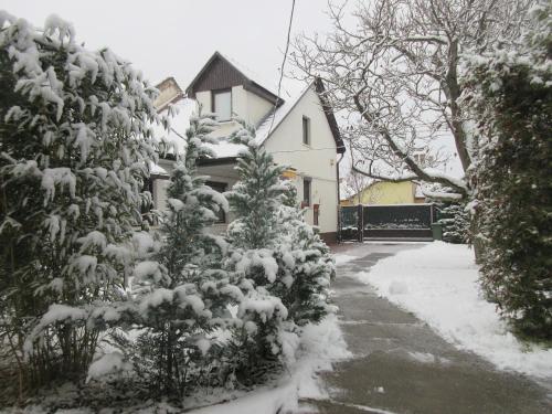 冬のSissi Residence with free parking lotの様子