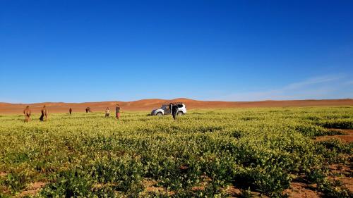 a group of people standing around a car in a field at Sahara Luxury Camp VIP in Merzouga