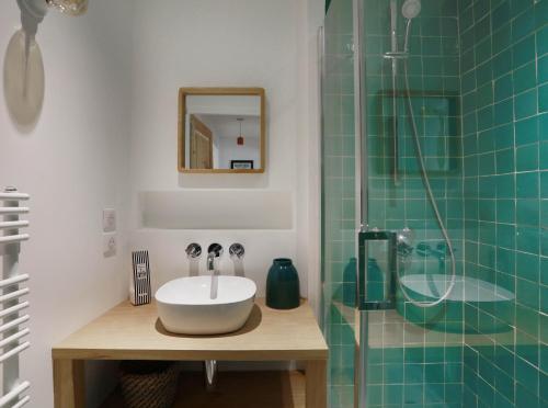 une salle de bain avec un lavabo et une douche en verre dans l'établissement Logement Hôtel Particulier centre ville, à Arles