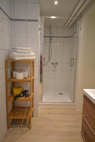 a bathroom with a shower with a glass door at Haus Königshöhe in Grömitz
