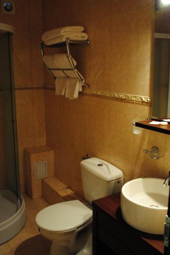 a bathroom with a white toilet and a sink at Casa Amurg in Sinaia