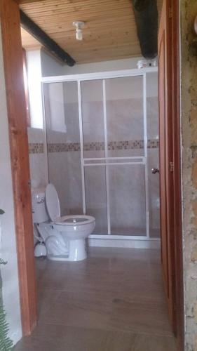 a bathroom with a toilet and a shower at Rancho Carrizal in Iza