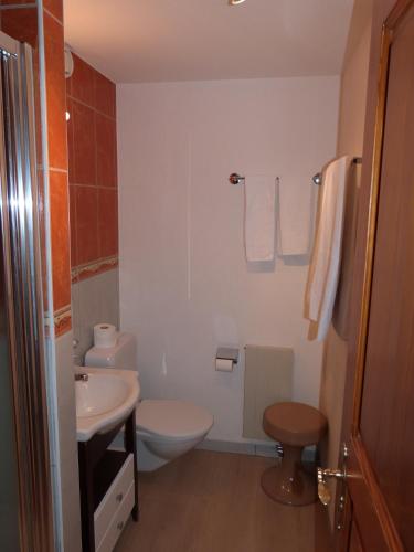 a small bathroom with a toilet and a sink at Residence Panorama in Villars-sur-Ollon