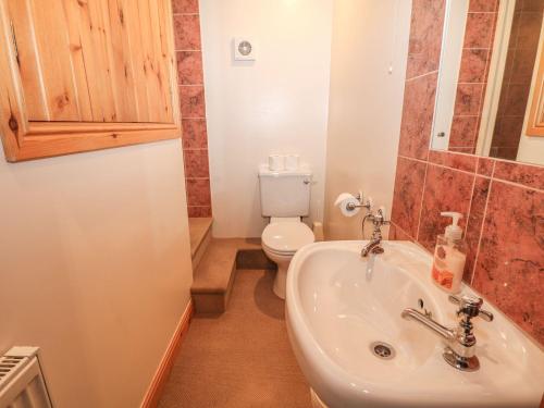een badkamer met een wastafel en een toilet bij Shires Rest in Buxton