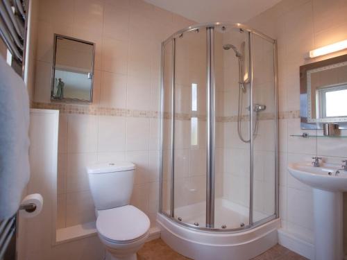 ein Badezimmer mit Dusche, Toilette und Waschbecken in der Unterkunft Bramble Cottage in Haverfordwest