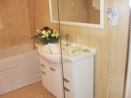 y baño con lavabo y ducha. en City Hotel Bucharest en Bucarest