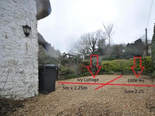 a picture of a yard with a house at Little Ivy in West Lulworth