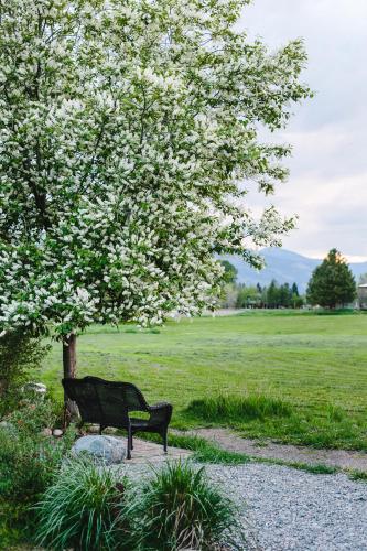 a black bench sitting under a tree in a field at Mt Gardner Inn in Winthrop