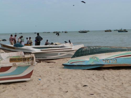 a group of boats sitting on the beach at pesalai plvillas in Pesalai