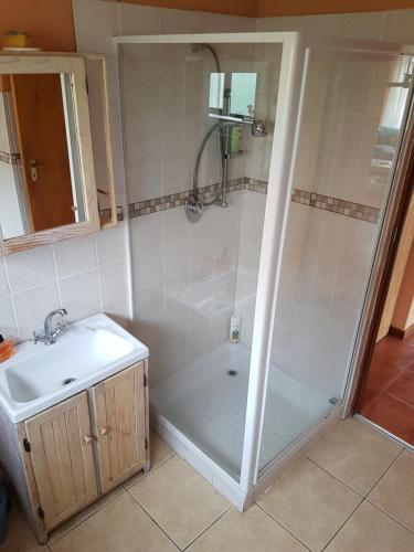 un baño con ducha y lavabo en Pelagonia, en Bettyʼs Bay