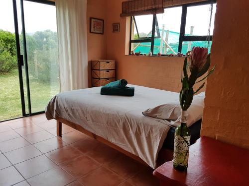 Un dormitorio con una cama y un jarrón con una flor en Pelagonia, en Bettyʼs Bay