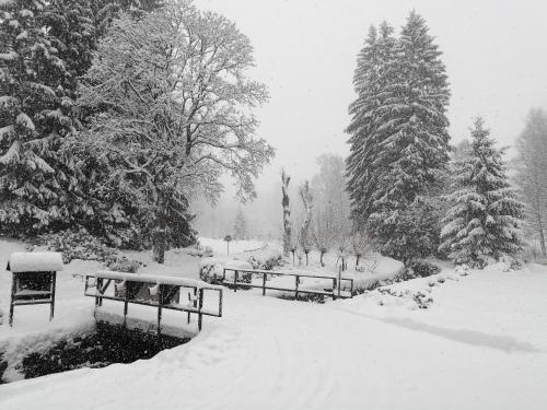 two benches covered in snow in a park at Penzion Bílá voda in Harrachov