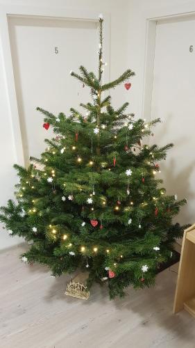 a christmas tree sitting on the floor in a room at Apartmány Tylovice in Rožnov pod Radhoštěm