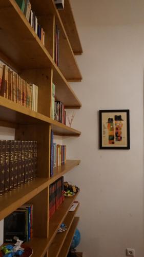 The library in the apartment