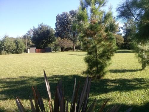 cabañas Tierra Kamiare 1 – Photos 2