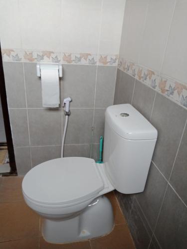 a bathroom with a white toilet in a room at Ibu Ana Homestay in Tabanan