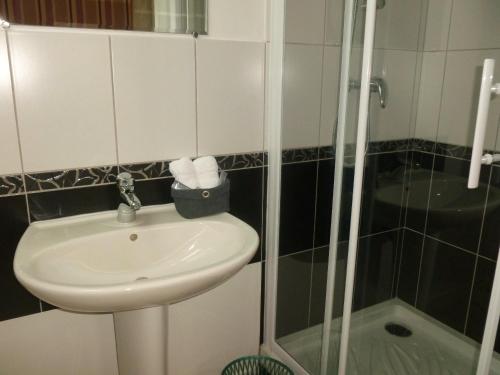 W łazience znajduje się umywalka i prysznic. w obiekcie Restaurant Hotel Logis Chez Sophie w mieście Briouze