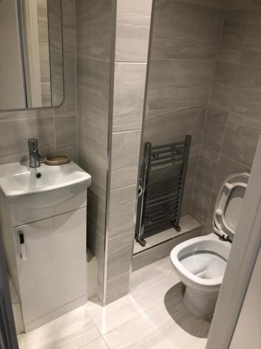 a bathroom with a toilet and a sink and a shower at Old Victory House Homestay in Portsmouth