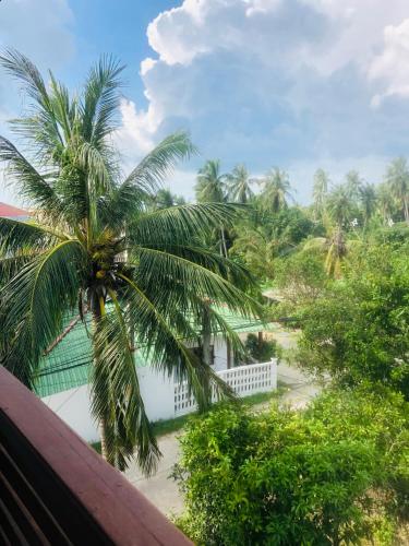 Zahrada ubytování Sleep inn Samui