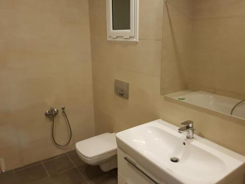 La salle de bains est pourvue d'un lavabo, de toilettes et d'une douche. dans l'établissement Luxury Apartment at Berges Lac2, à Tunis