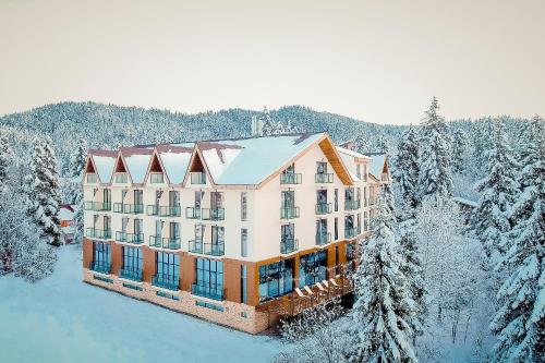 Gallery image of AuRoom Bakuriani Resort in Bakuriani