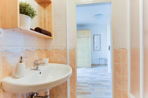 a bathroom with a sink and a walk in shower at Jane's Attic Apartment in Prague