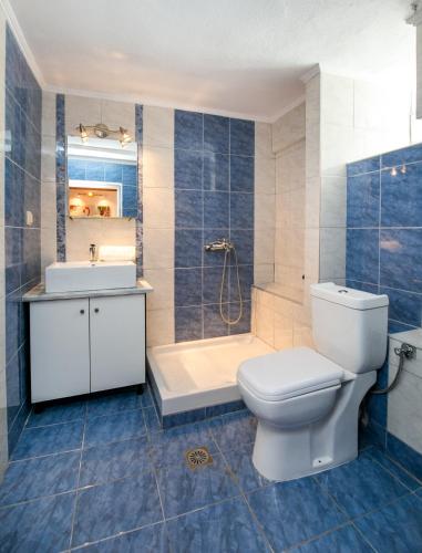 a bathroom with a toilet and a sink and a shower at Villa Elpis 2 in Limenaria