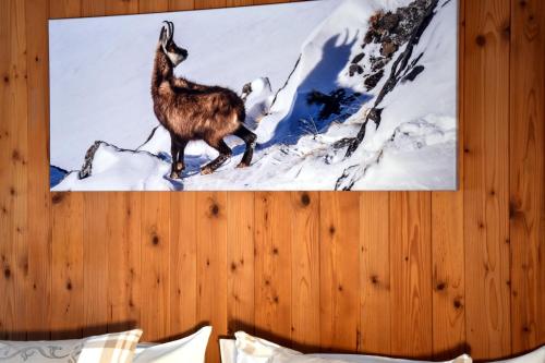 Φωτογραφία από το άλμπουμ του Hotel Cabana στο Γκρίντελβαλντ