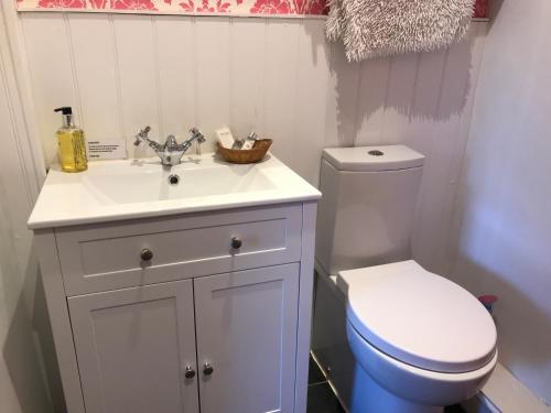 a bathroom with a white sink and a toilet at SPRING GARDENS B&B in Wadebridge