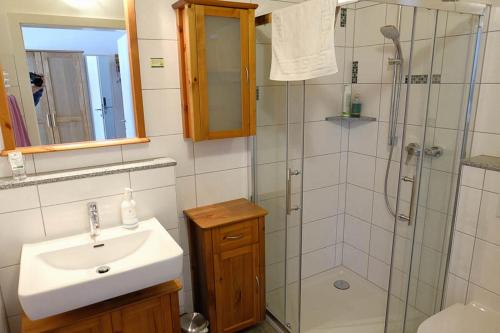 a bathroom with a sink and a shower at Hildegard Naturhaus in Kirchberg bei Mattighofen