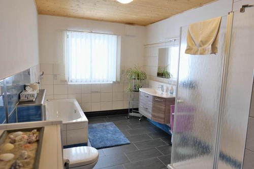 a bathroom with a shower and a sink and a toilet at Hildegard Naturhaus in Kirchberg bei Mattighofen