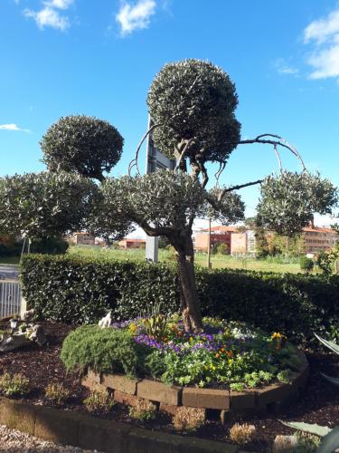 un jardín con un árbol y algunas flores en Apartma Marisol, en Izola