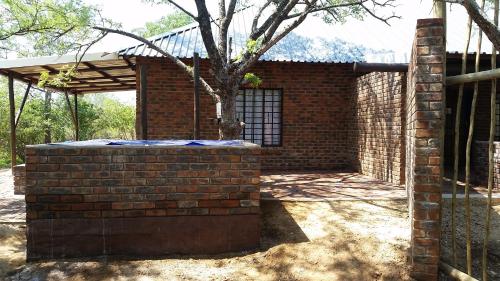 a brick building with a tree in front of it at Kruger Wild Dog Inn in Marloth Park